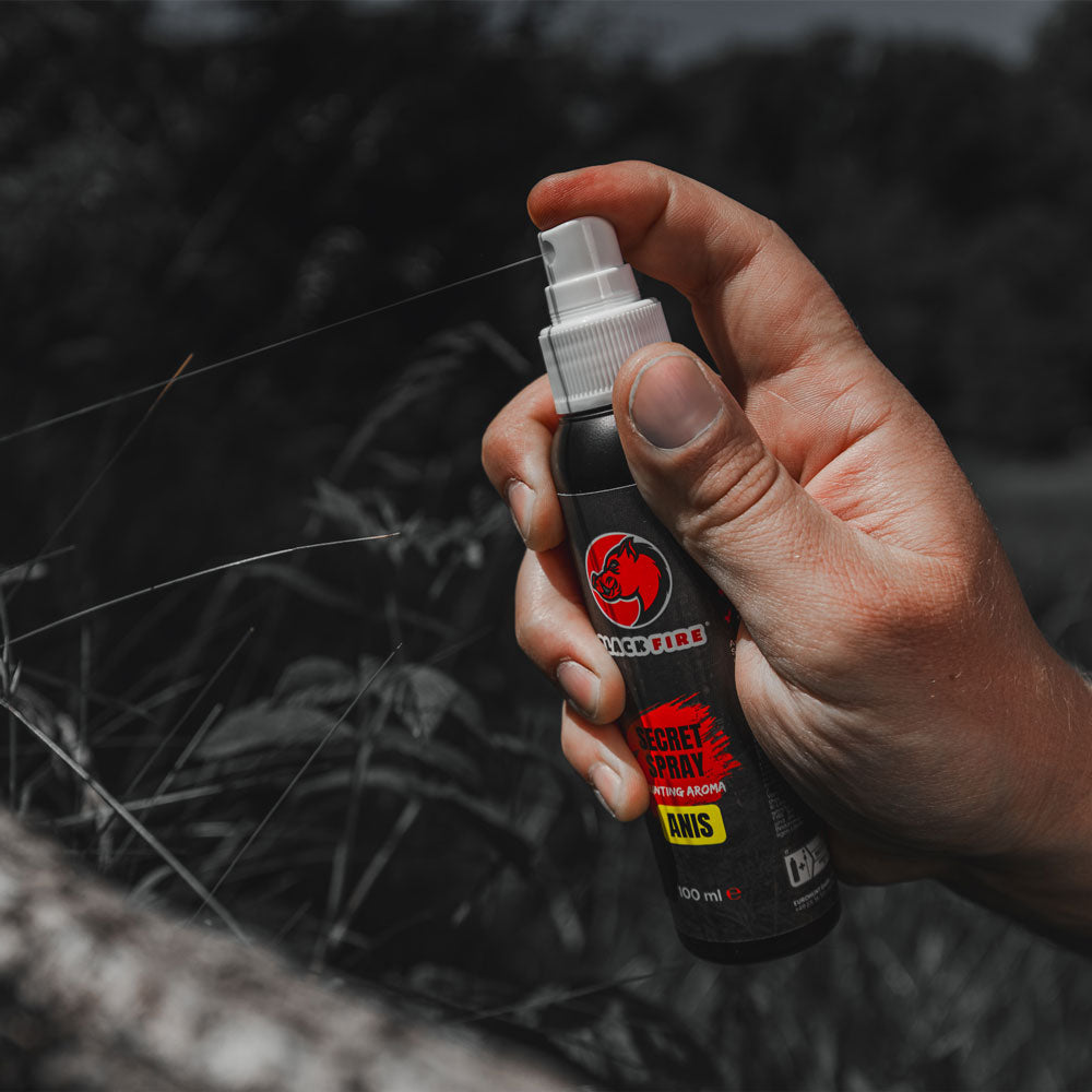 BLACK FIRE - Secret Spray Anis 100 ml