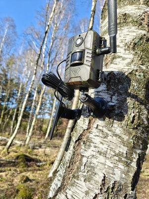 Del 2: 4G-vildtkamera på overlevelsestur – Testen i de svenske skove